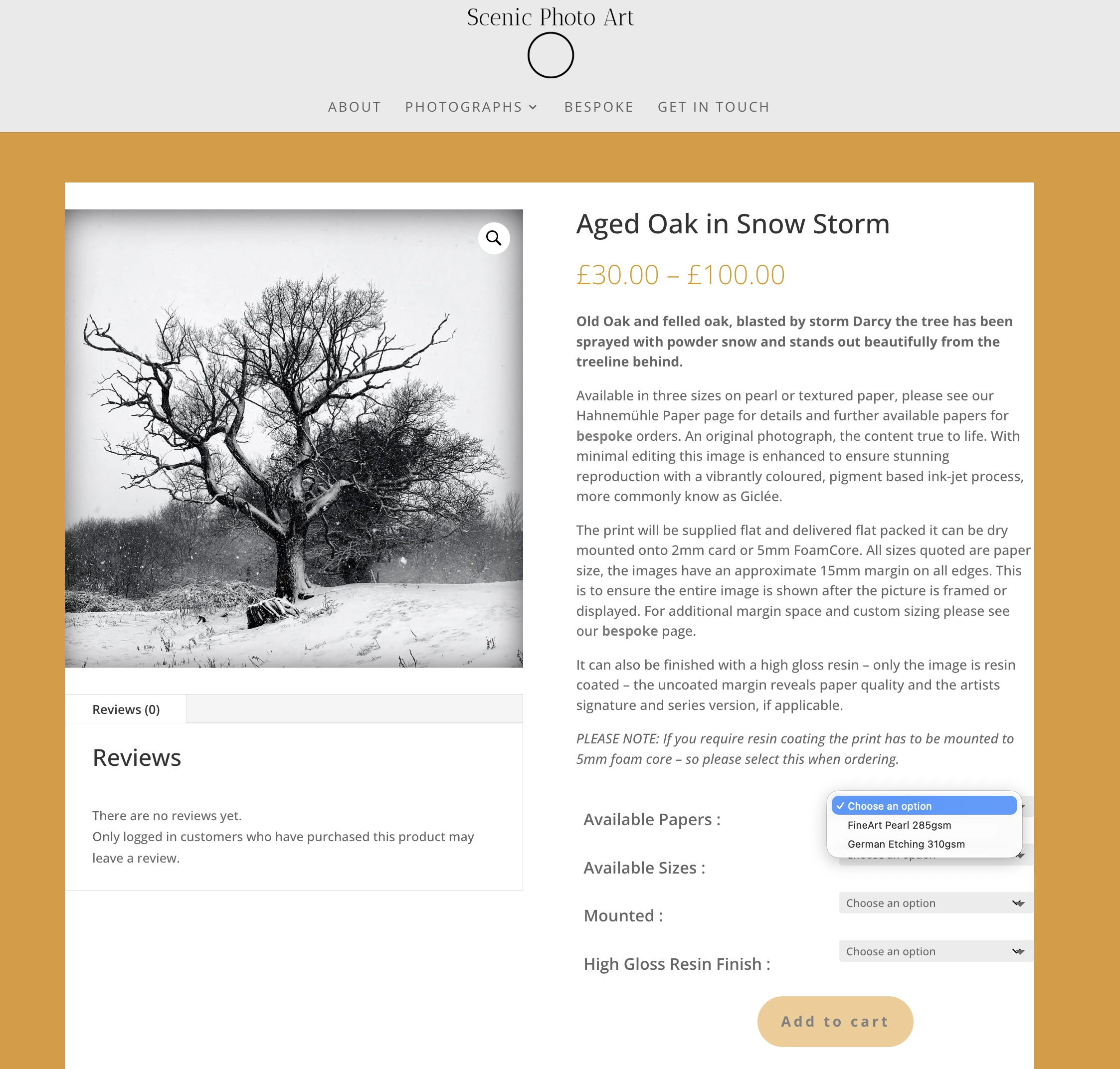 Scenic Photo Art ecommerce homepage on desktop display