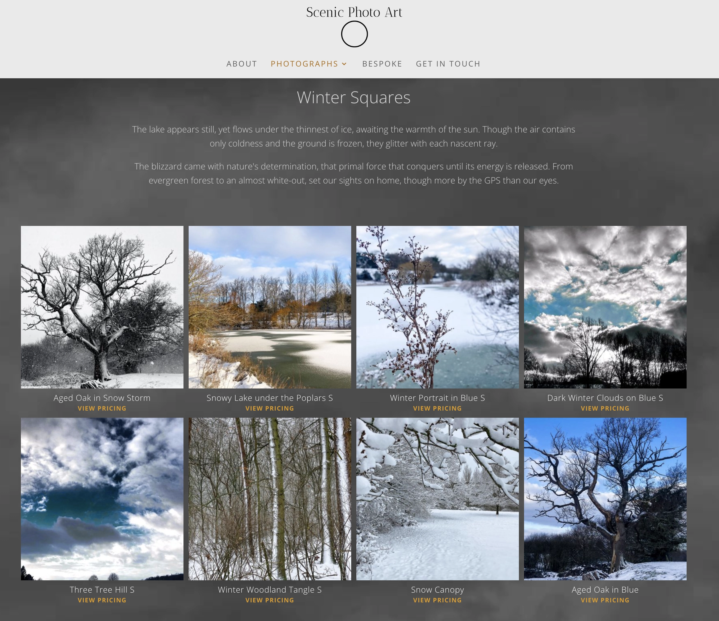 Scenic Photo Art online gallery and store design