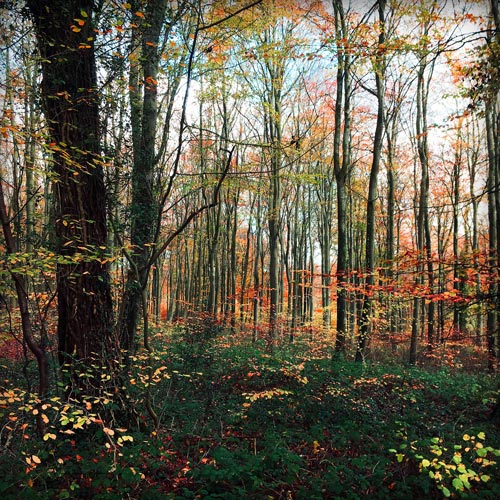 Scenic Photo Art original photography and print presentation